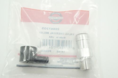 GENUINE OEM BRIGGS & STRATTON PART # 208673GS PRESSURE WASH THERMAL RELIEF VALVE