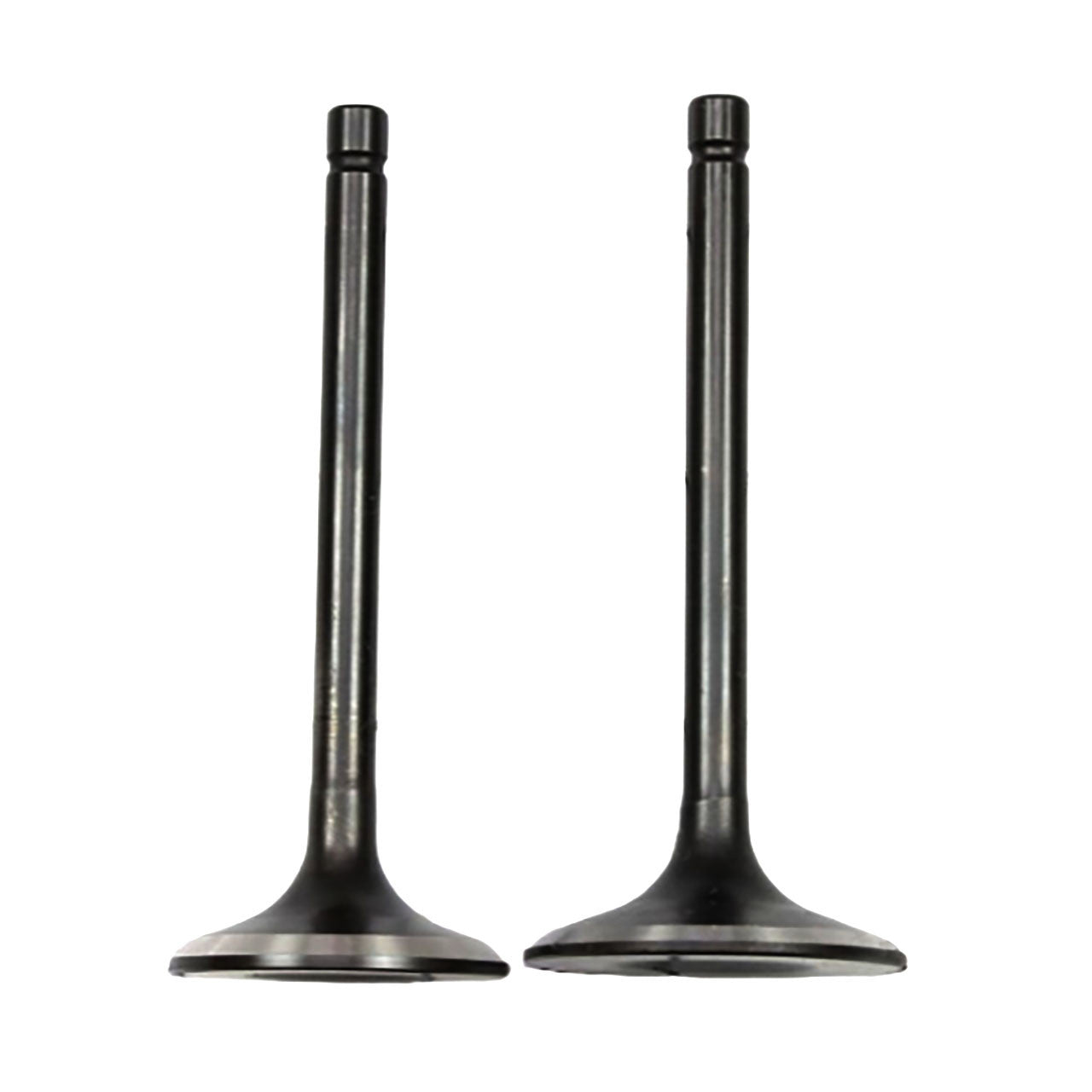 Genuine OEM Toro Part # 120-4302 Valve Set