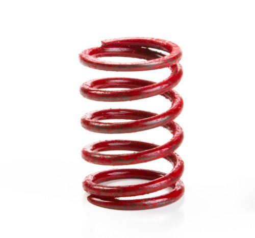 Genuine OEM Briggs & Stratton Part # 691597 Valve Spring