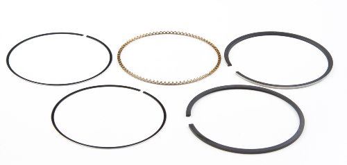 Genuine OEM Briggs & Stratton Part # 791969 Standard Ring Set