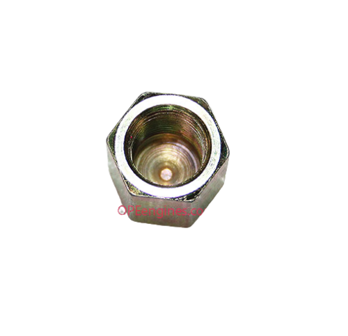 GENUINE OEM KOHLER PART # 12 173 08-S PIPE CAP