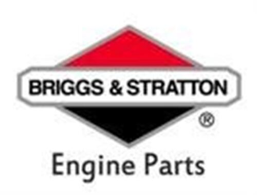 NEW GENUINE OEM BRIGGS & STRATTON PART # 796491 FUEL LINE; QUANTITY 1