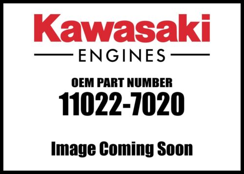 GENUINE OEM KAWASAKI PART # 11022-7020; ROCKER CASE