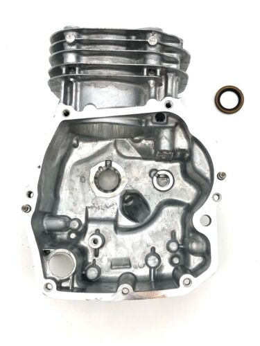 NEW GENUINE OEM BRIGGS & STRATTON PART # 596413 CYLINDER ASSEMBLY