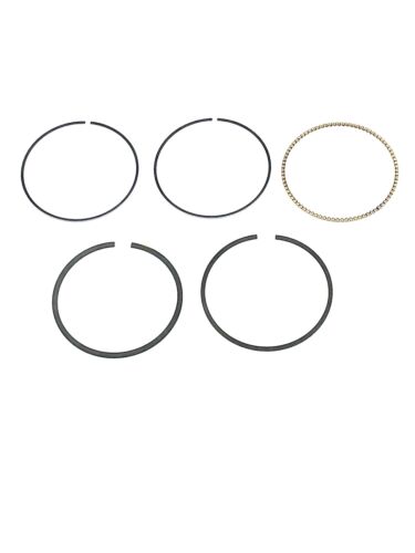 NEW GENUINE OEM BRIGGS & STRATTON PART # 594098 RING SET; QUANTITY 1