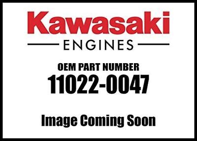 GENUINE OEM KAWASAKI PART # 11022-0047; ROCKER CASE