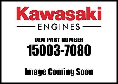 Carburatore Originale Kawasaki 15003-7035 – OEM, Nuovo, Ricambio Motore