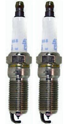 GENUINE OEM CHAMPION PART # XC10YC; SPARK PLUG 2 PACK