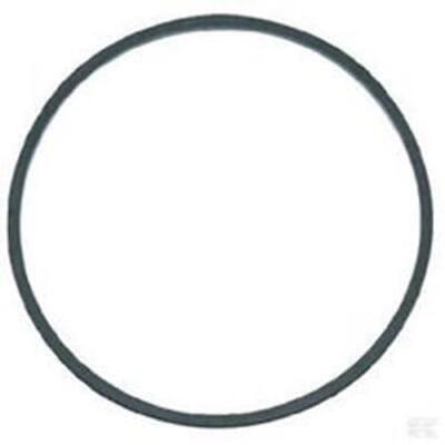 NEW GENUINE OEM BRIGGS & STRATTON PART # 593235 FLOAT BOWL GASKET; QUANTITY 1